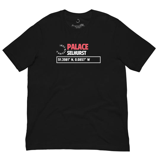 Crystal Palace Coordinates T-Shirt (Black)