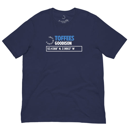 Everton Coordinates T-Shirt (Navy)