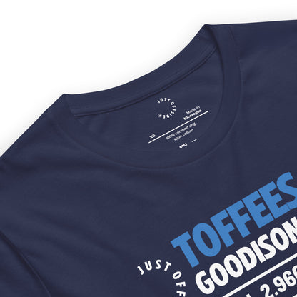 Everton Coordinates T-Shirt (Navy)